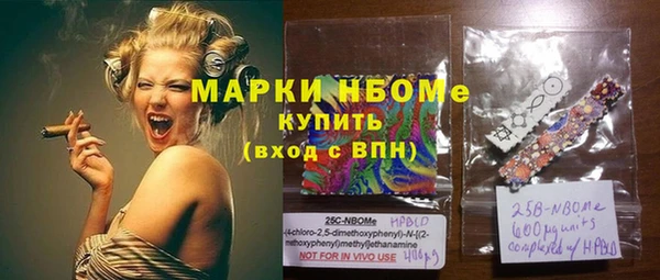 СК Алексин