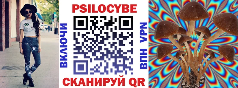 цена наркотик  Кувшиново  Псилоцибиновые грибы MAGIC MUSHROOMS 