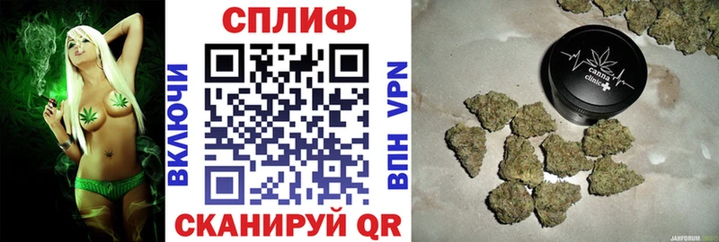 ОМГ ОМГ tor  Кувшиново  Бошки Шишки VHQ 